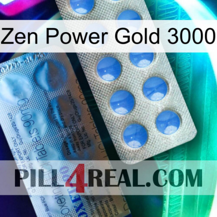 Zen Power Gold 3000 40